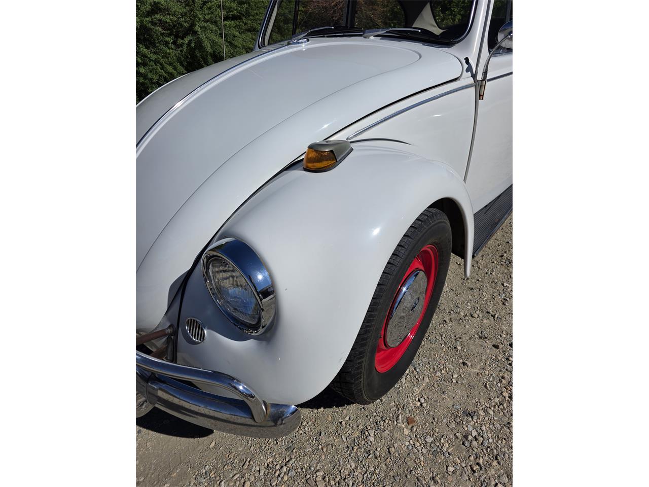 Volkswagen-Beetle-1967-White-Red-amp-White-39