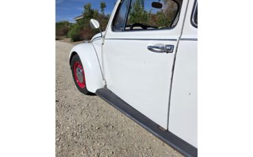 Volkswagen-Beetle-1967-White-Red-amp-White-4