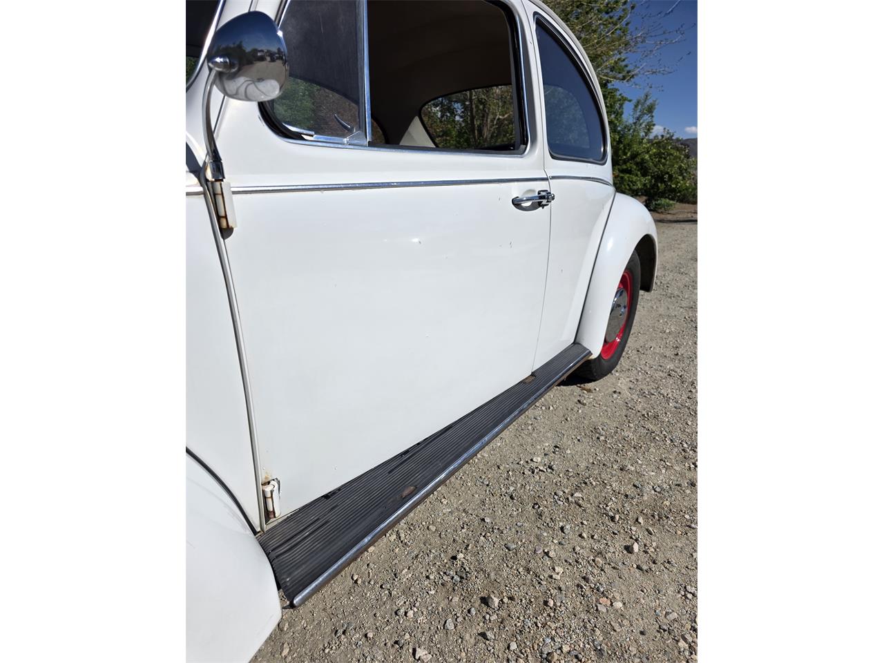 Volkswagen-Beetle-1967-White-Red-amp-White-40