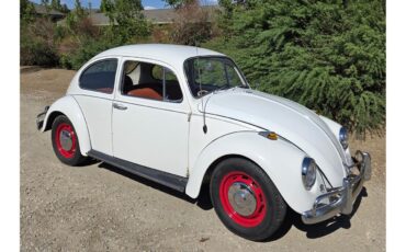 Volkswagen-Beetle-1967-White-Red-amp-White-41