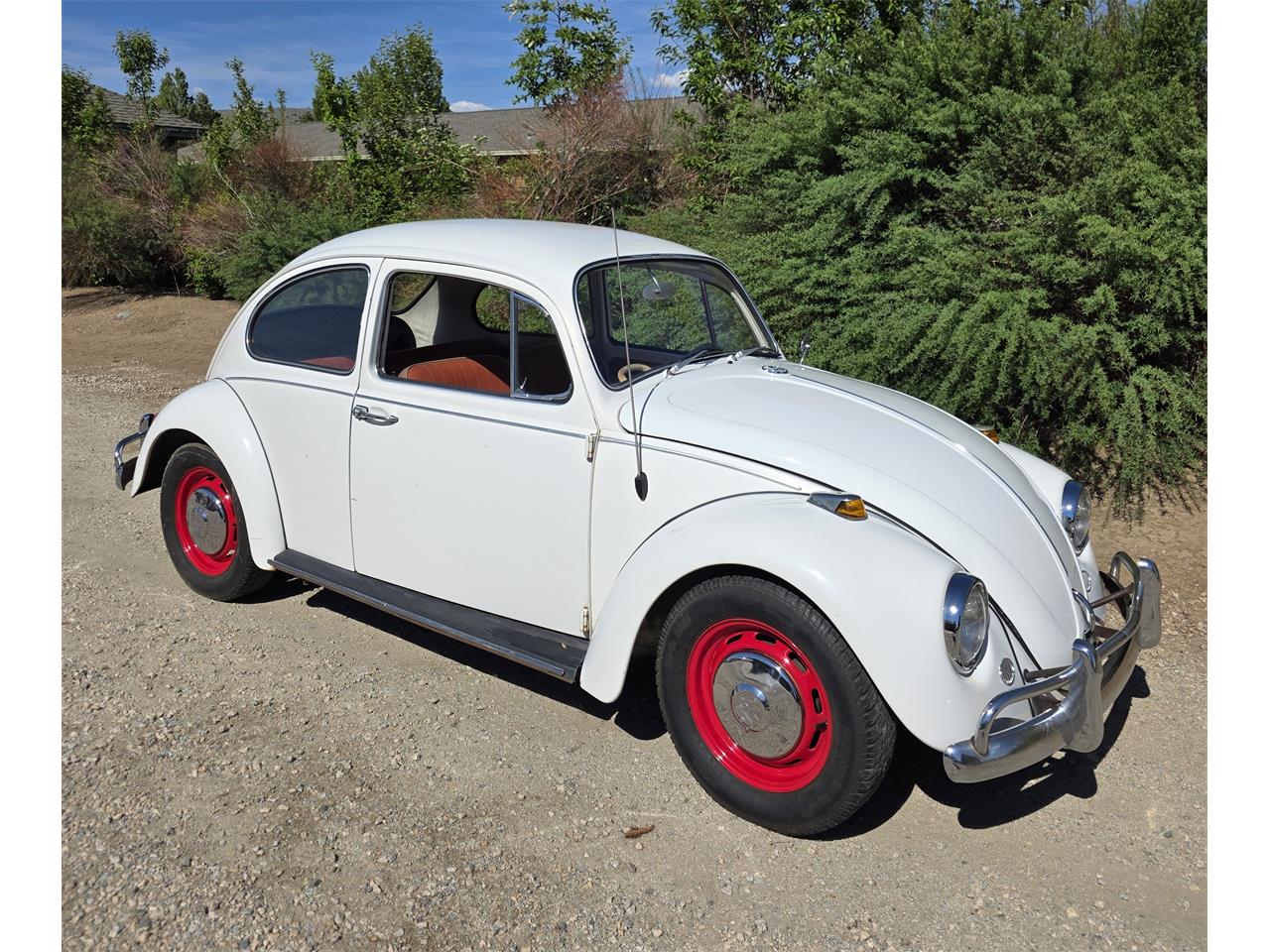 Volkswagen-Beetle-1967-White-Red-amp-White-41