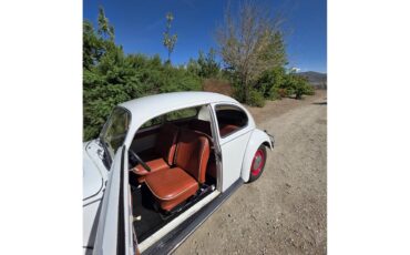 Volkswagen-Beetle-1967-White-Red-amp-White-43