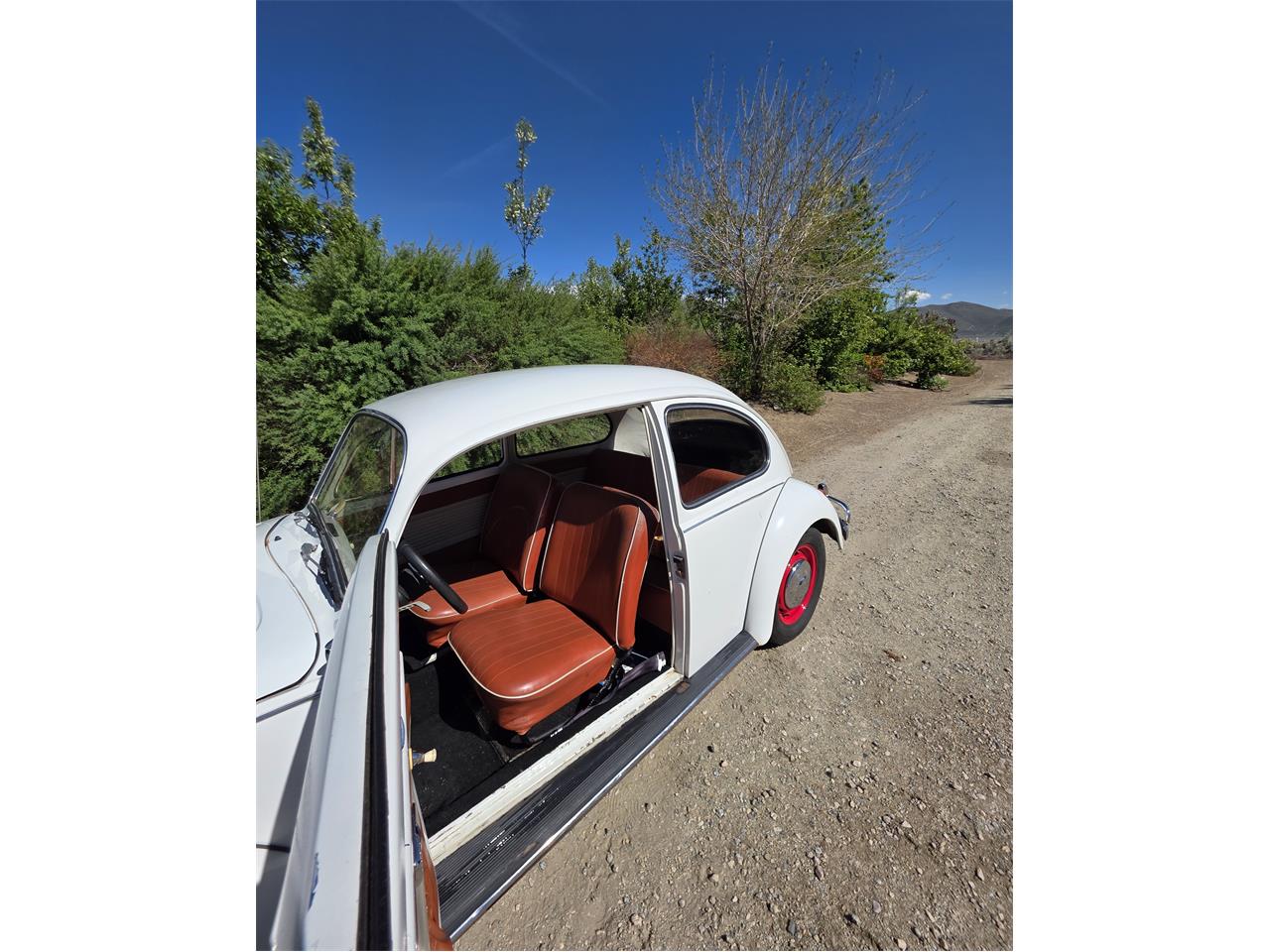 Volkswagen-Beetle-1967-White-Red-amp-White-43