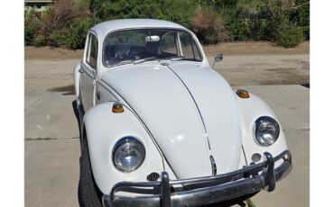 Volkswagen-Beetle-1967-White-Red-amp-White-45