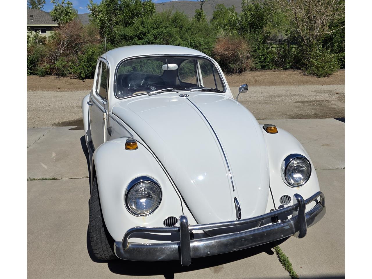 Volkswagen-Beetle-1967-White-Red-amp-White-45