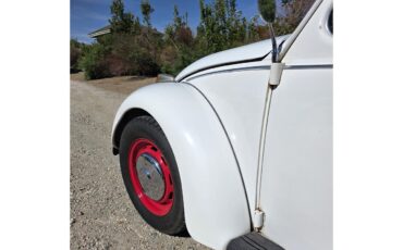 Volkswagen-Beetle-1967-White-Red-amp-White-5