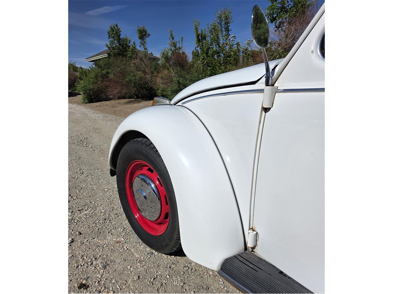 Volkswagen-Beetle-1967-White-Red-amp-White-5