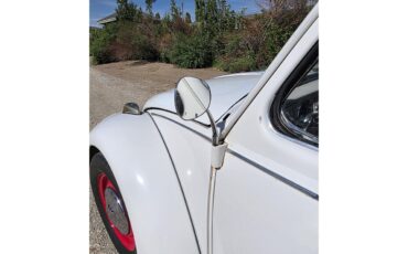 Volkswagen-Beetle-1967-White-Red-amp-White-6