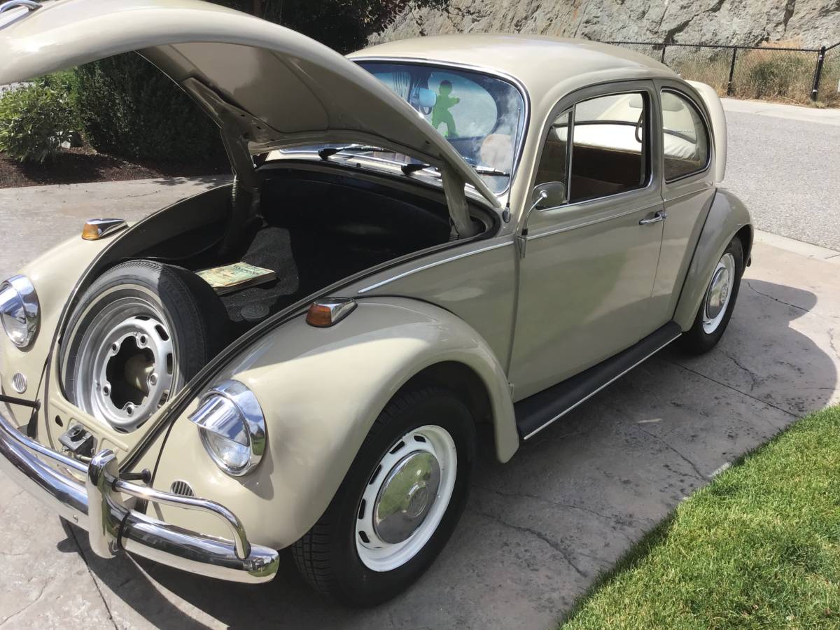 Volkswagen-Beetle-1967-brown-6