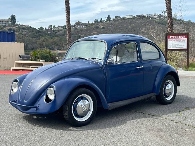 Volkswagen-Beetle-1969-Blue-15