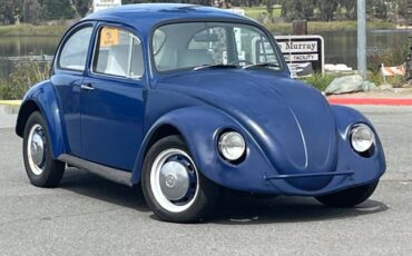 Volkswagen-Beetle-1969-Blue