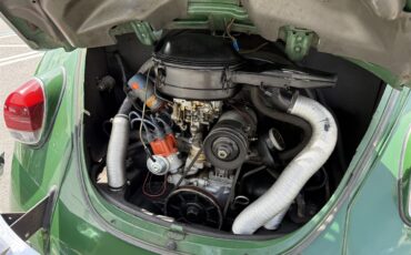 Volkswagen-Beetle-1970-Green-Black-18