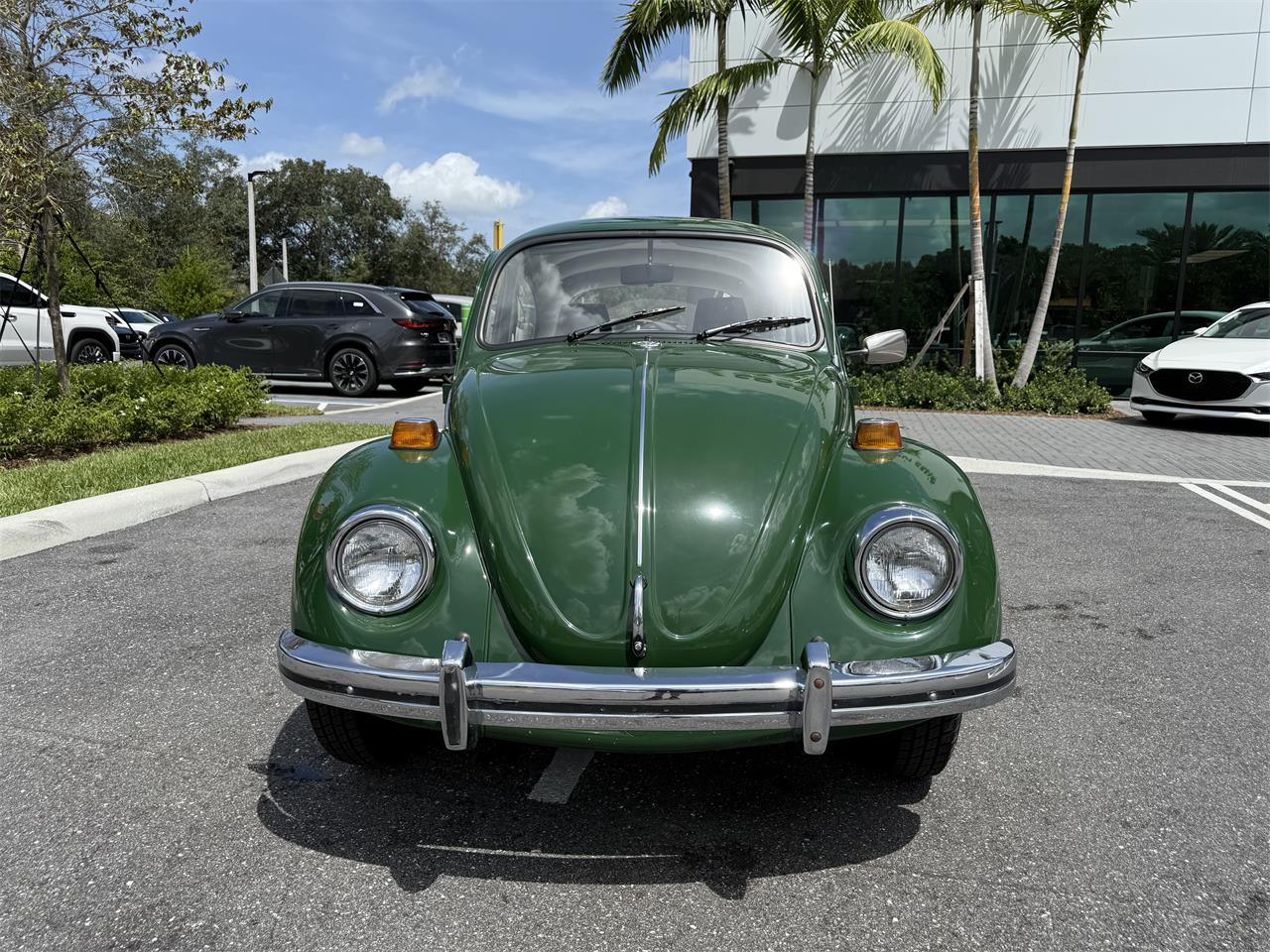 Volkswagen-Beetle-1970-Green-Black-21