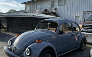 Volkswagen-Beetle-1976-Gray-Black-2