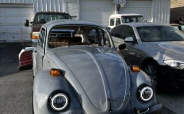 Volkswagen-Beetle-1976-Gray-Black