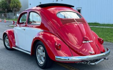 Volkswagen-Beetle-Classic-1956-coupe-10