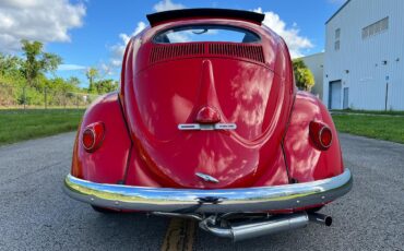 Volkswagen-Beetle-Classic-1956-coupe-14