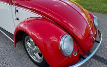Volkswagen-Beetle-Classic-1956-coupe-35