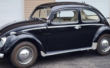 Volkswagen-Beetle-Classic-1962-2-dr-2