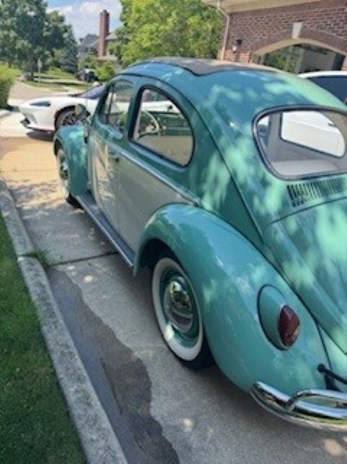 Volkswagen-Beetle-Classic-1962-Coupe-4