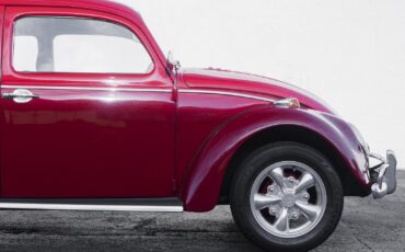 Volkswagen-Beetle-Classic-1964-7