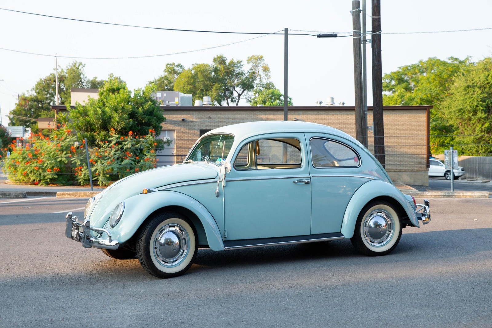 Volkswagen-Beetle-Classic-1964-Sedan-11
