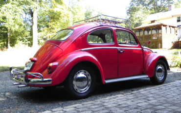 Volkswagen-Beetle-Classic-1964-Sedan-4