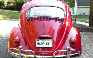 Volkswagen-Beetle-Classic-1964-Sedan-5