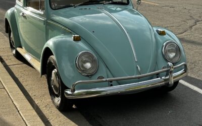 Volkswagen Beetle - Classic 1966 Compact