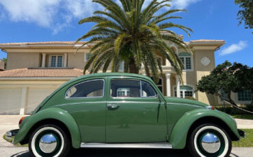 Volkswagen-Beetle-Classic-1971-Coupe-1