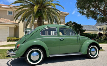 Volkswagen-Beetle-Classic-1971-Coupe-2