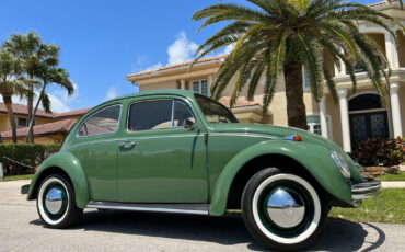 Volkswagen-Beetle-Classic-1971-Coupe-5