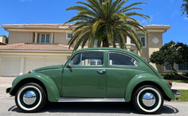 Volkswagen-Beetle-Classic-1971-Coupe-6