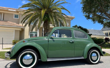 Volkswagen-Beetle-Classic-1971-Coupe-7
