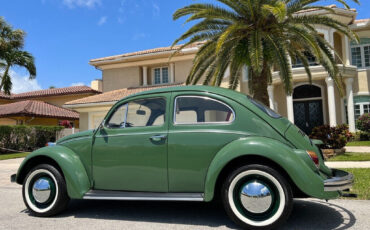 Volkswagen-Beetle-Classic-1971-Coupe-8