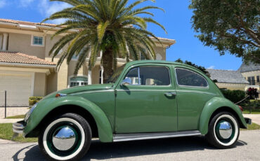 Volkswagen-Beetle-Classic-1971-Coupe-9