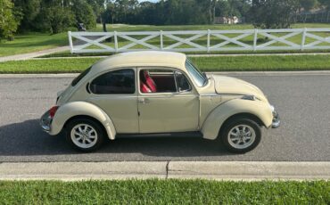 Volkswagen-Beetle-Classic-1973-Coupe-11