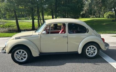 Volkswagen-Beetle-Classic-1973-Coupe-2