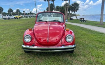 Volkswagen-Beetle-Classic-1974-Convertible-2