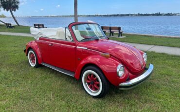 Volkswagen-Beetle-Classic-1974-Convertible-3