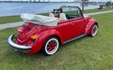 Volkswagen-Beetle-Classic-1974-Convertible-5