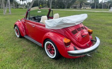 Volkswagen-Beetle-Classic-1974-Convertible-7