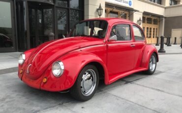 Volkswagen-Beetle-Classic-1974-Coupe-11
