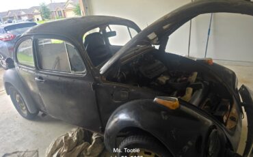Volkswagen-Beetle-Classic-1974-Coupe-2