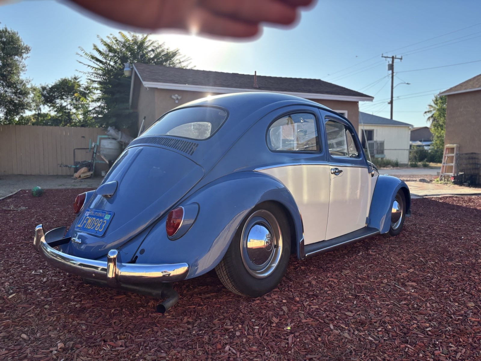 Volkswagen-Beetle-Pre-1980-1963-2