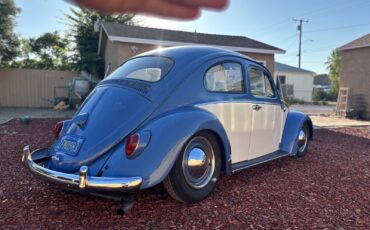 Volkswagen-Beetle-Pre-1980-1963-3