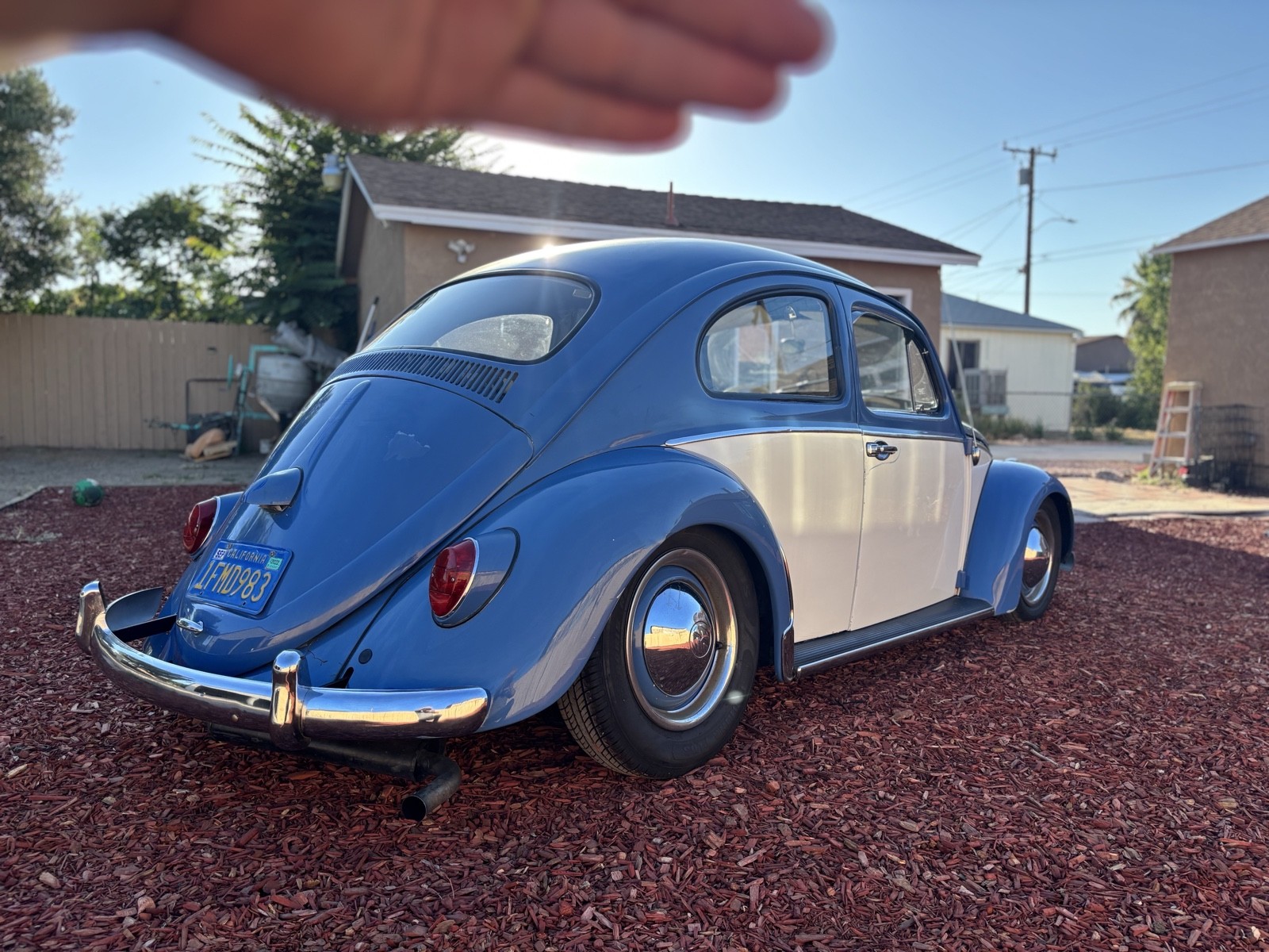 Volkswagen-Beetle-Pre-1980-1963-3