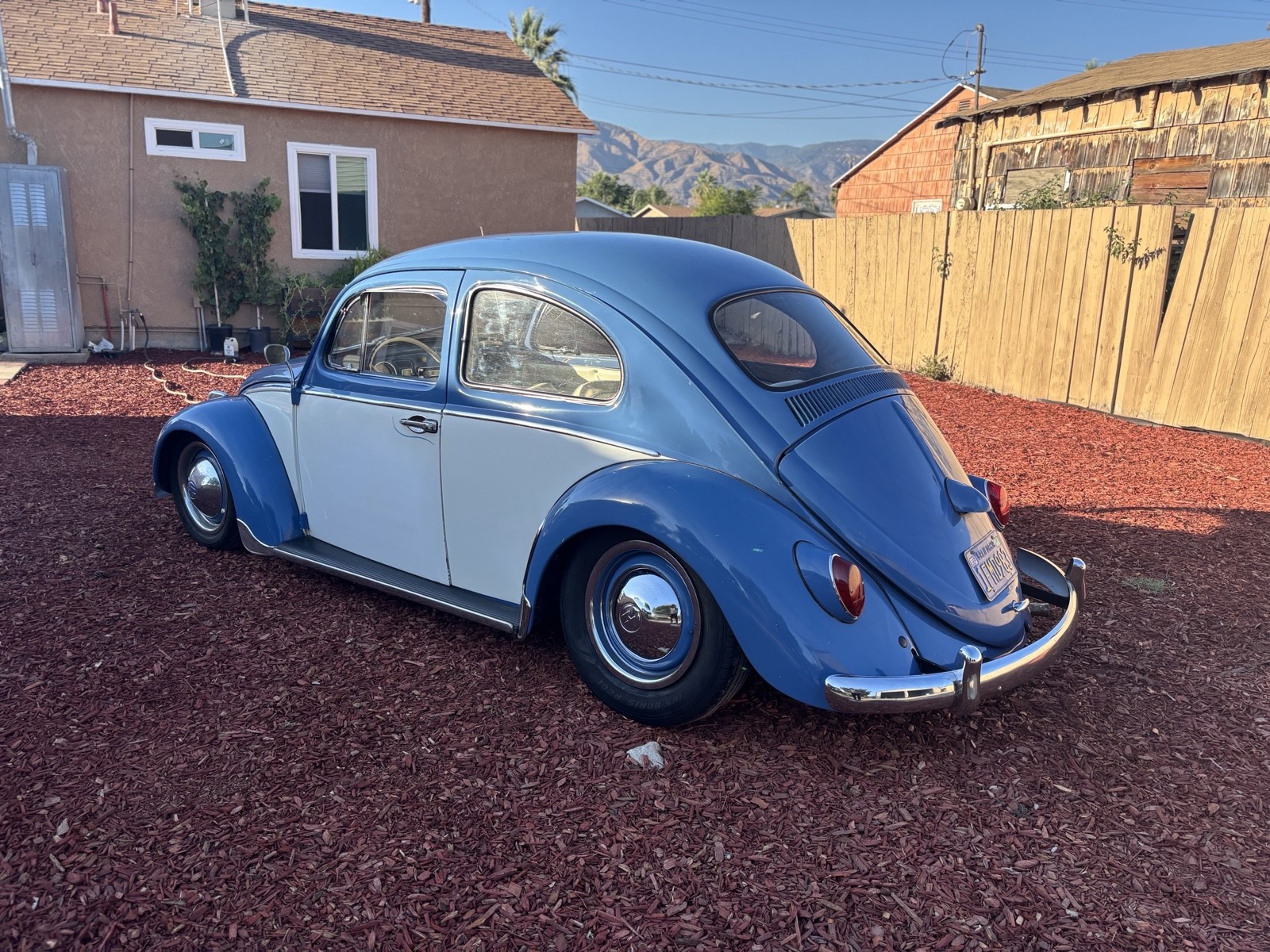 Volkswagen-Beetle-Pre-1980-1963-4