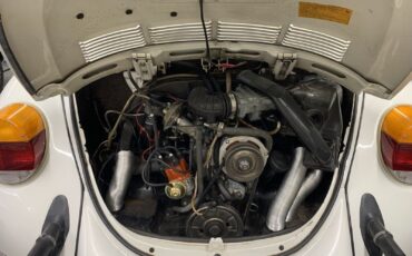 Volkswagen-Beetle-Pre-1980-1979-28