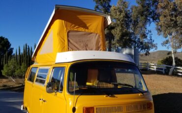 Volkswagen-BusVanagon-1977-3